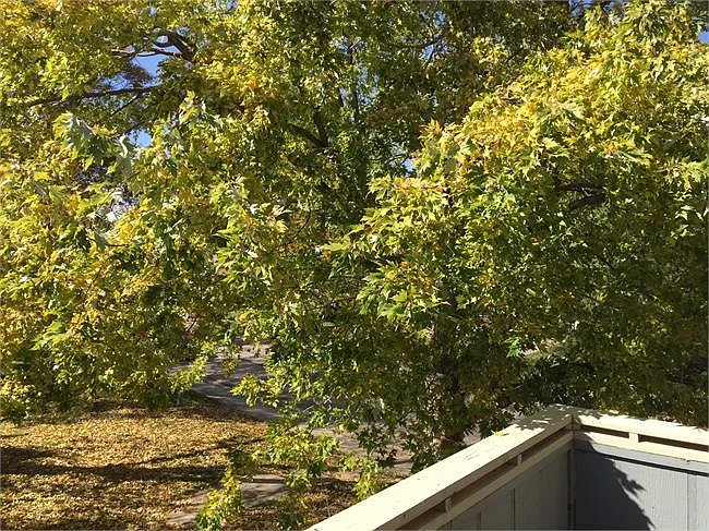 1110 Centaur Cir #E — Photo 23
