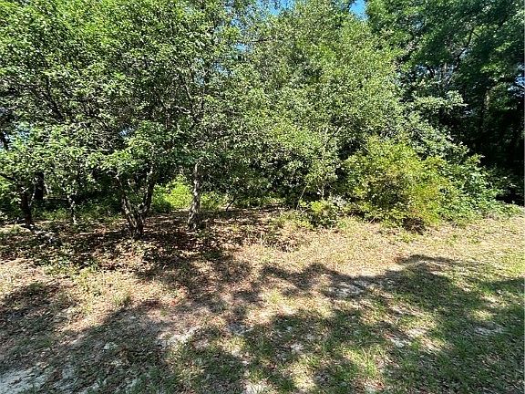 4th image of 8024 N Yellowbird Ave