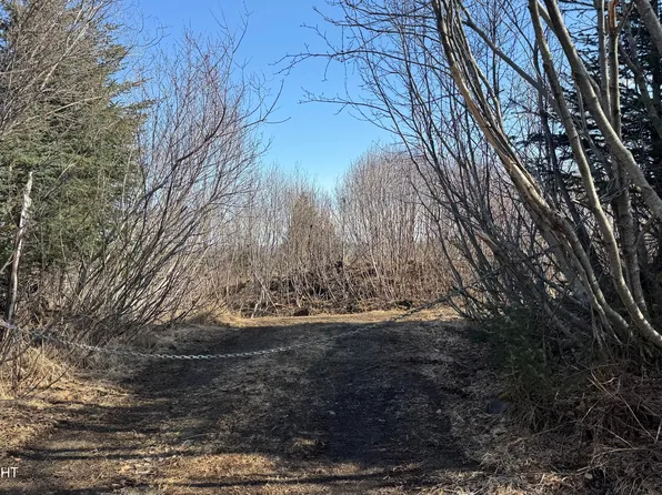 35674 Erin Way, Anchor Pt, AK 99556