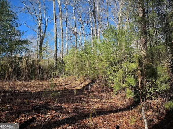 33 Whisperwood Rd, Hiawassee, GA 30546