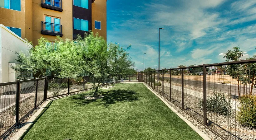 Elevation San Tan — Photo 4