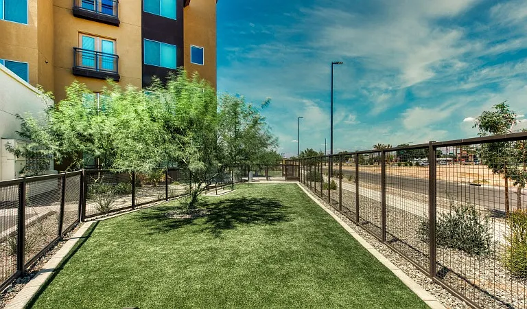 Elevation San Tan — Photo 4