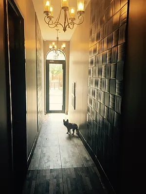 Rented by TheRealEstateCompany.com LLC | media 45