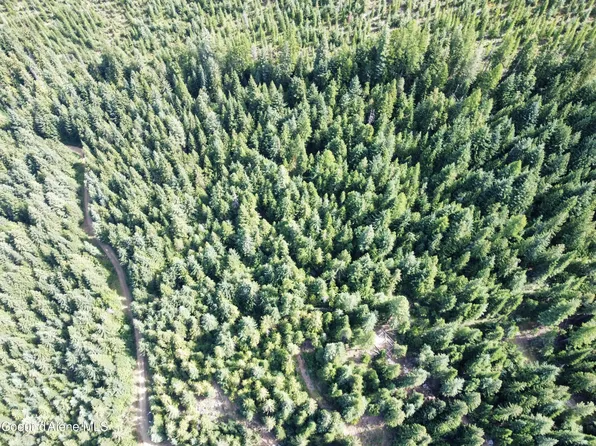 1930 Alpine Dr, Fernwood, ID 83830