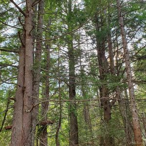 Tbd Motley Rd, Nisula, MI, 49952