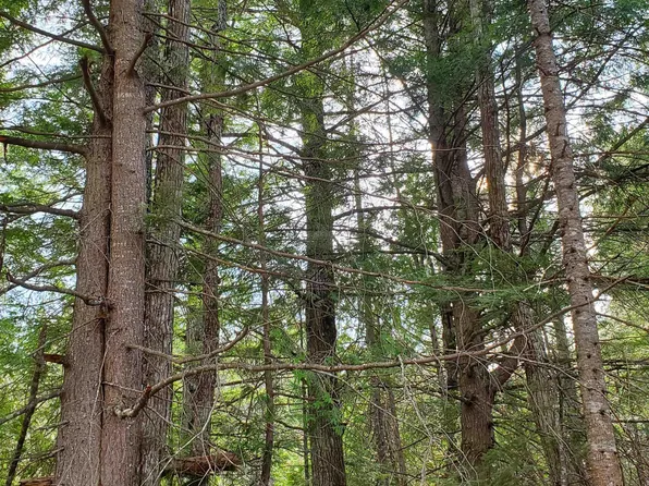 Tbd Motley Rd, Nisula, MI 49952