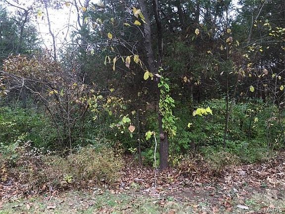 5th image of 609 Lake Dr
