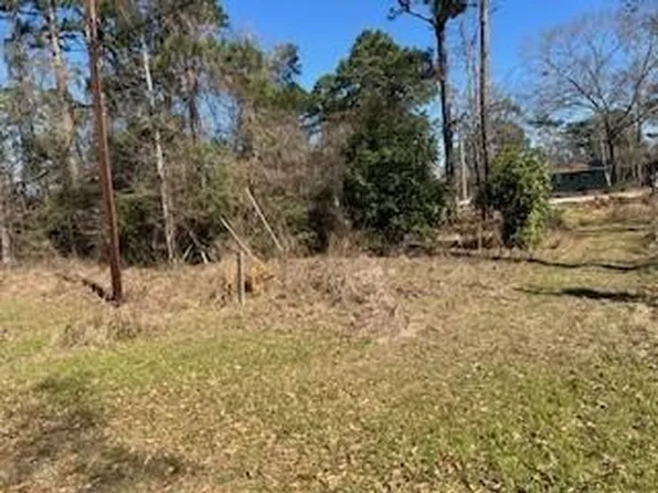 171 Cherry Tree, Onalaska, TX 77351