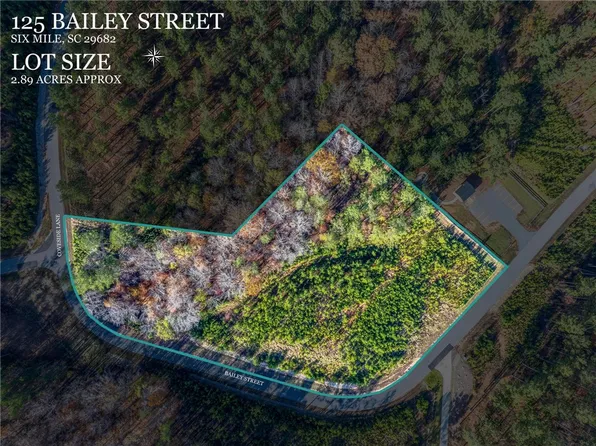 125 Bailey St, Six Mile, SC 29682