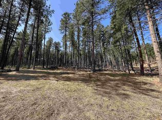 23220 Clear Creek Rd, Rapid City, SD 57702