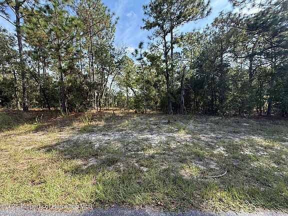 2nd image of 9339 N Milam Way