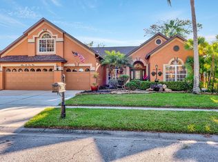 4601 River Close Blvd, Valrico, FL 33596