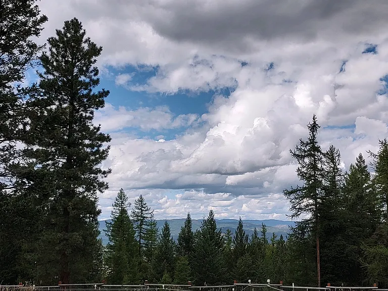 245 Frontier Trl — Photo 34