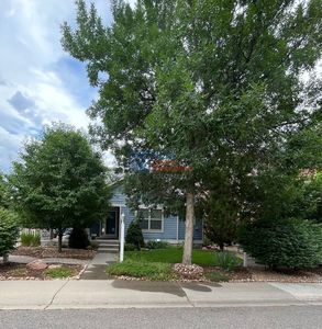 1996 Windom Pl, Loveland, CO, 80538
