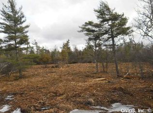 LOT 2 State Route 180 LOT 2, Dexter, NY 13634