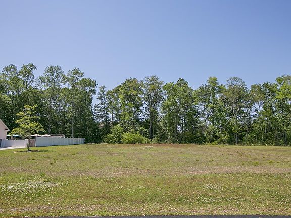 3rd image of 328 Capers Creek Dr.
