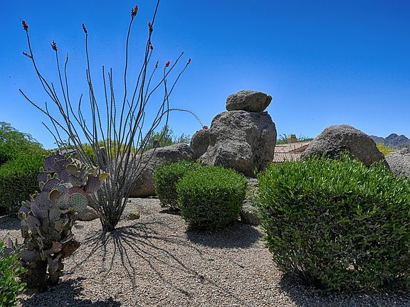 4th image of 11355 E Pinon Dr