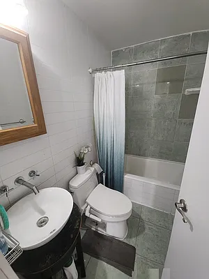 Rented by GPS Realty NYC | media 14