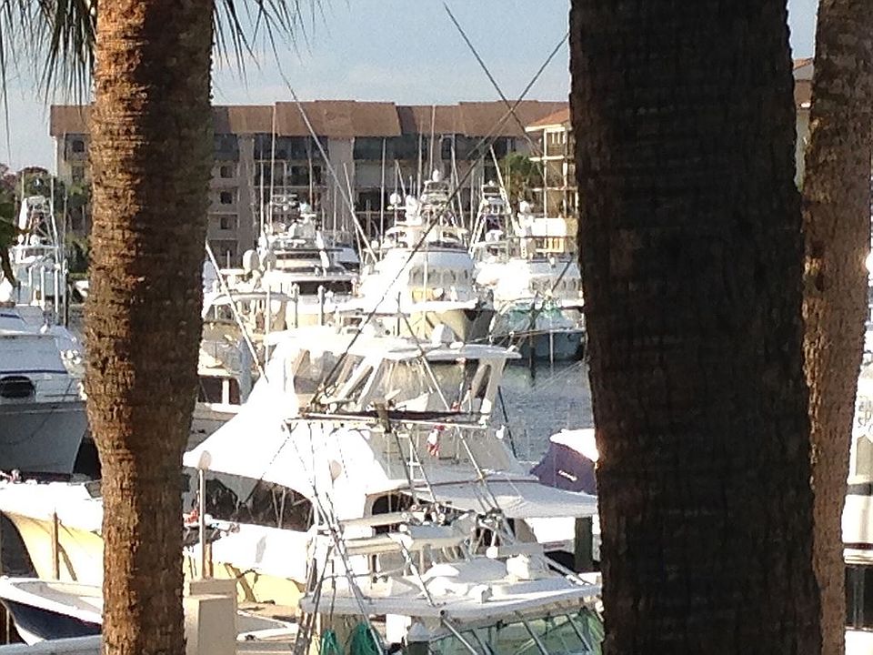 Marina view