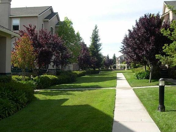 Front Yard/ Neighborhood