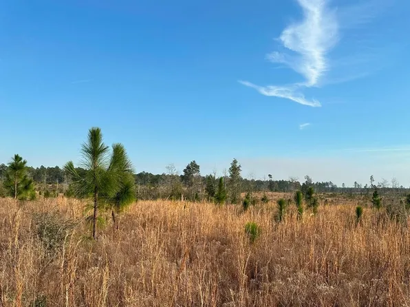 0 Forest Service Rd #347, Wiggins, MS 39577