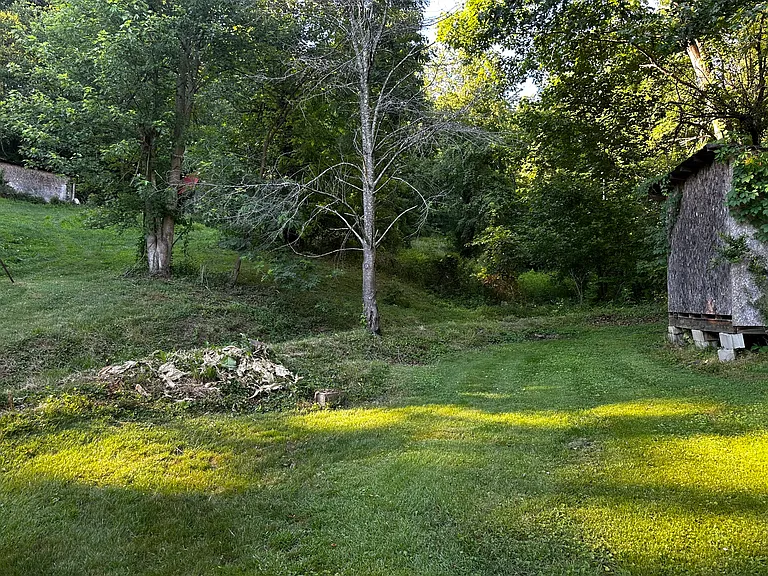 Laura Mae Dr — Photo 9