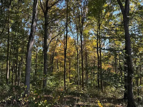 0 Cornwell Rd, Scottsville, KY 42164