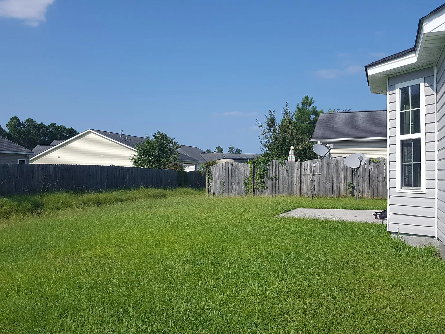 3 bed, 1305 sqft, $1,625 — Photo 3