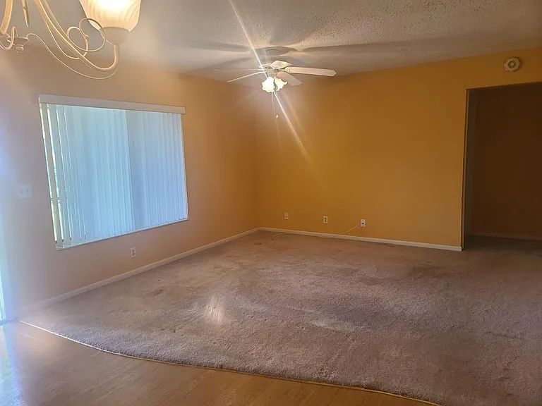 317 Knotty Pine Cir #A-2 — Photo 7