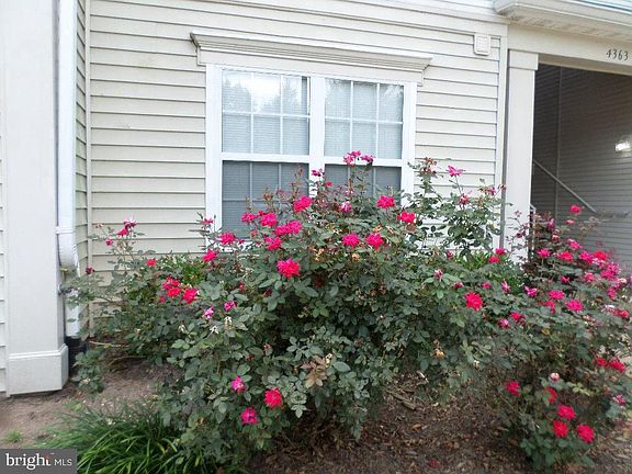 4th image of 4363 Wilson Valley Dr APT 201