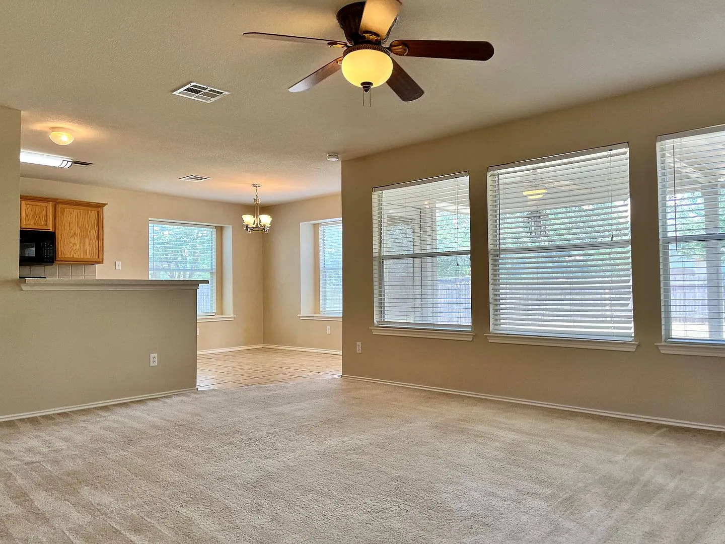3716 Cap Rock Trl, Round Rock — Photo 4
