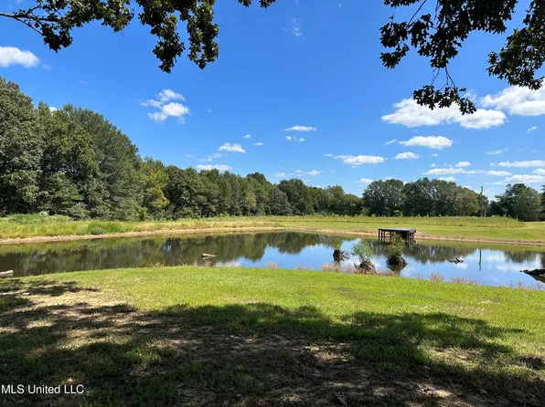 1885 Hunters Chapel Rd, Como, MS 38619