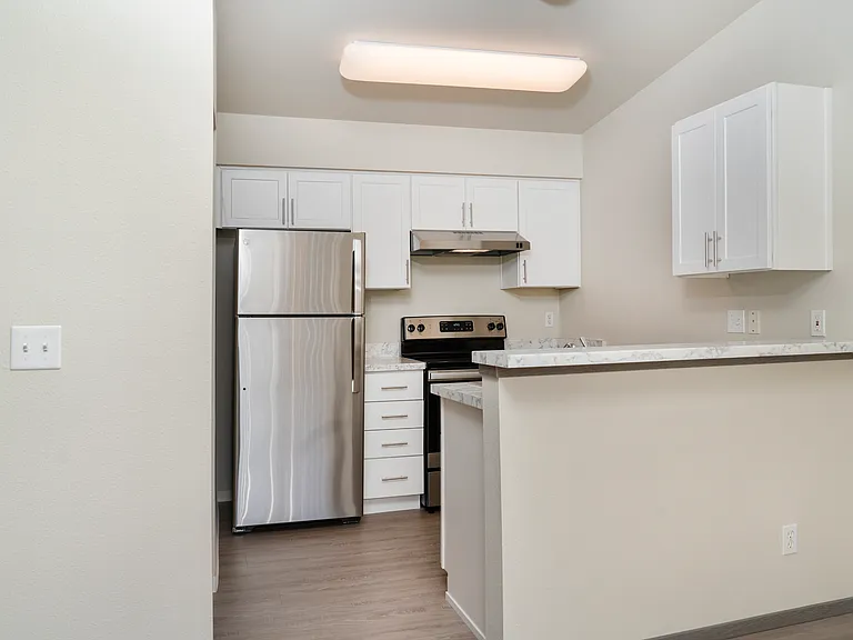 Stainless Steel Kitchen Appliances