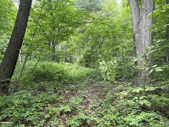 4th image of 2190 Warren Rd