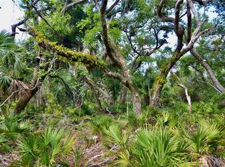 0 Leroy Lyons Rd, Perry, FL 32348