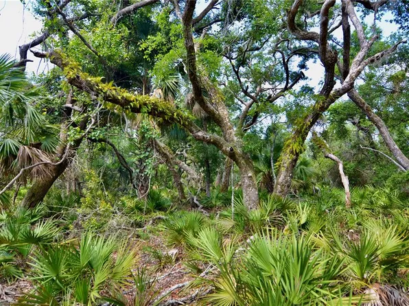 0 Leroy Lyons Rd, Perry, FL 32348