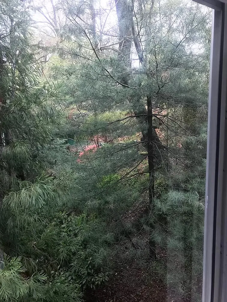 Studio, 400 sqft, $1,650 — Photo 4