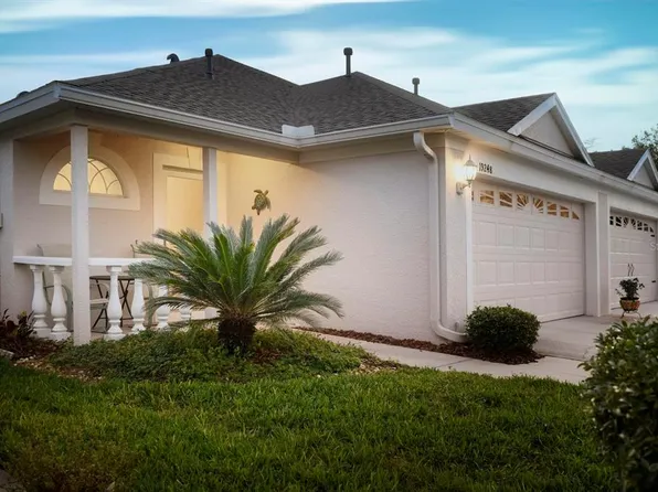 19248 BARRED OWL COURT, LAND O LAKES, FL 34638