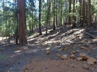 411 Big Meadows Rd, Canyon Dam, CA 95923