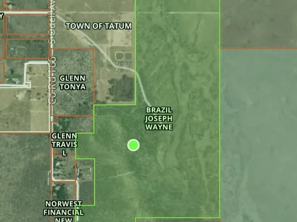 162 Acres Plains Hwy, Tatum, NM 88267