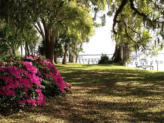 2.73 Acre Lot on the St. John's River