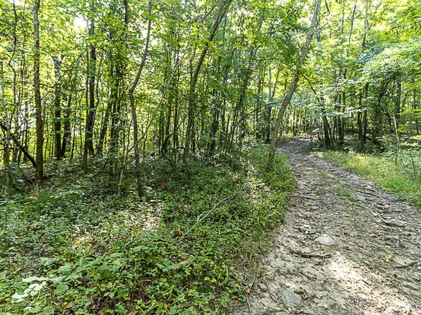 LOT Eight Tranquil Ln, Devils Elbow, MO 65457