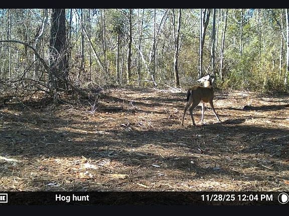 5th image of 0 Hike Lake Rd