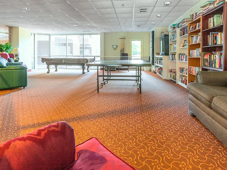 Game room and library