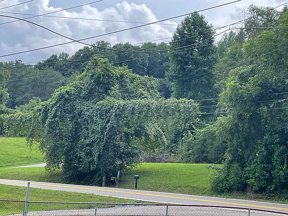 5th image of Memorial Blvd