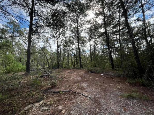 116 Kenny Lane, Florahome, FL 32140