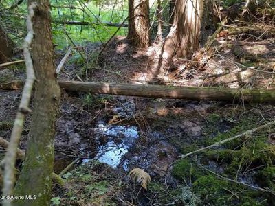 317 E Ridge Rd, Saint Maries, ID, 83861