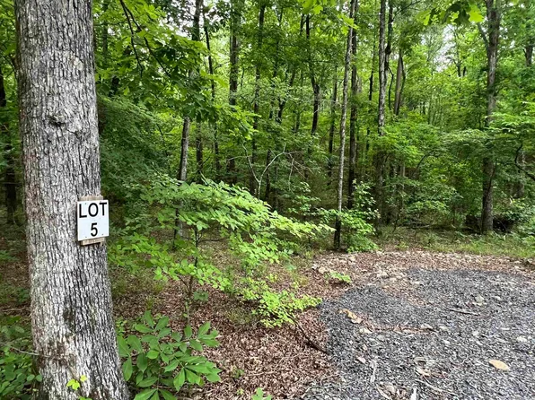 310 Cathedral Pines Ln, Mena, AR 71953