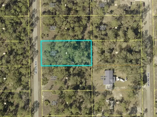 2114 Wells Ave, Alva, FL 33920