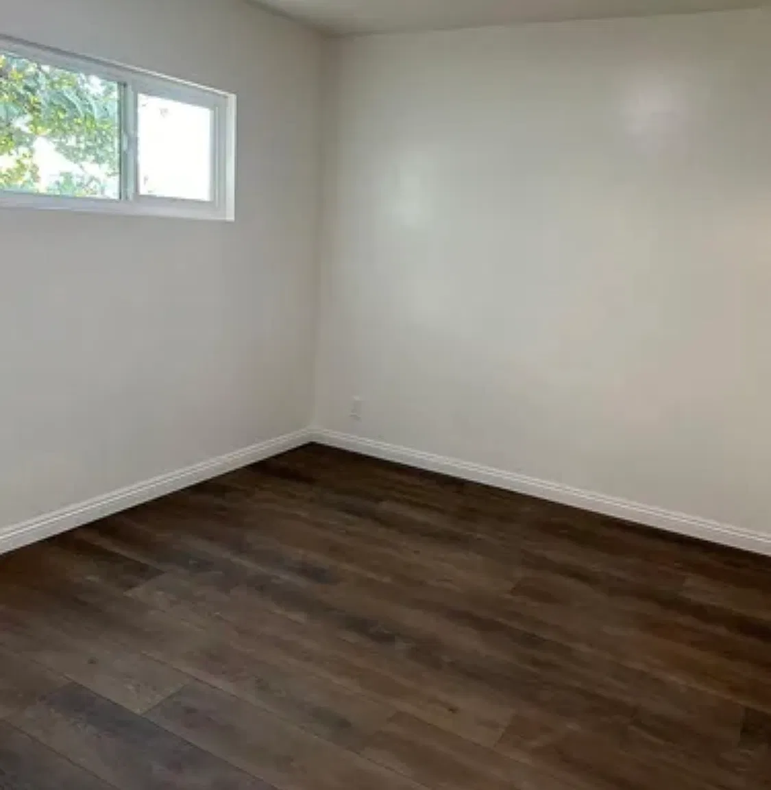 1 bed, 550 sqft, $1,590 — Photo 3